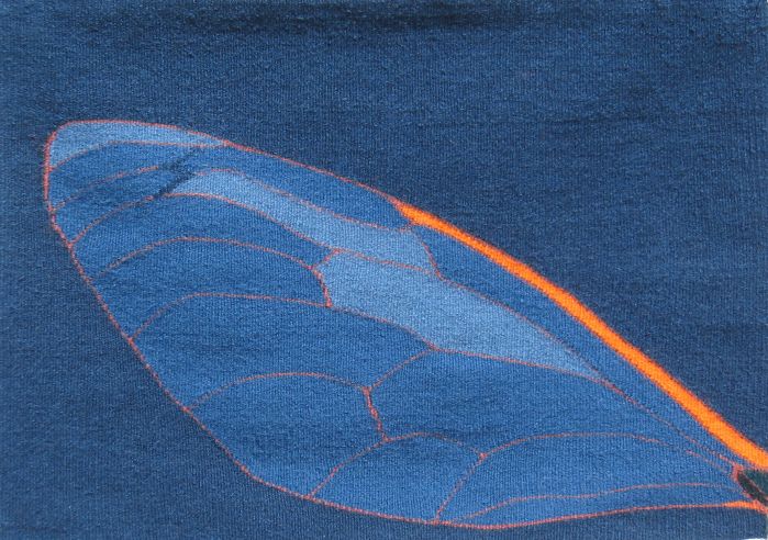 Cicada Wing