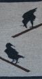 Crows at Angle