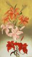 Lilies