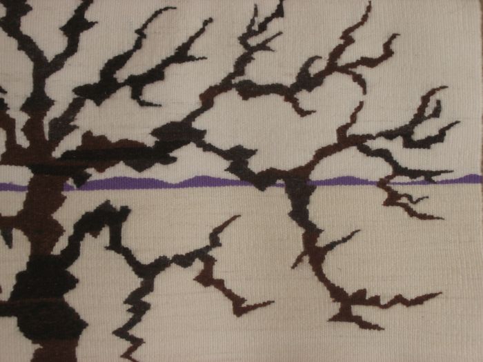 New Mexico Landscape