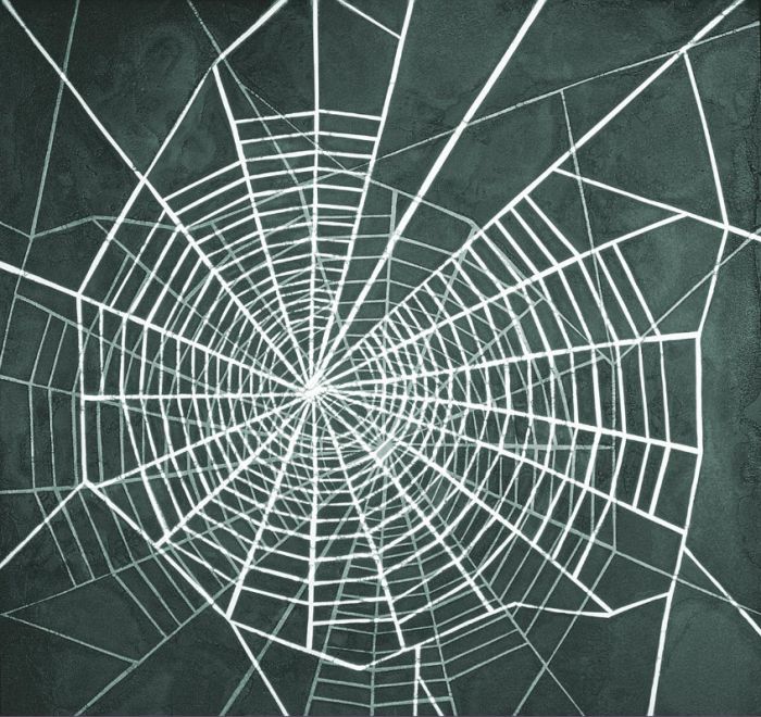 Web